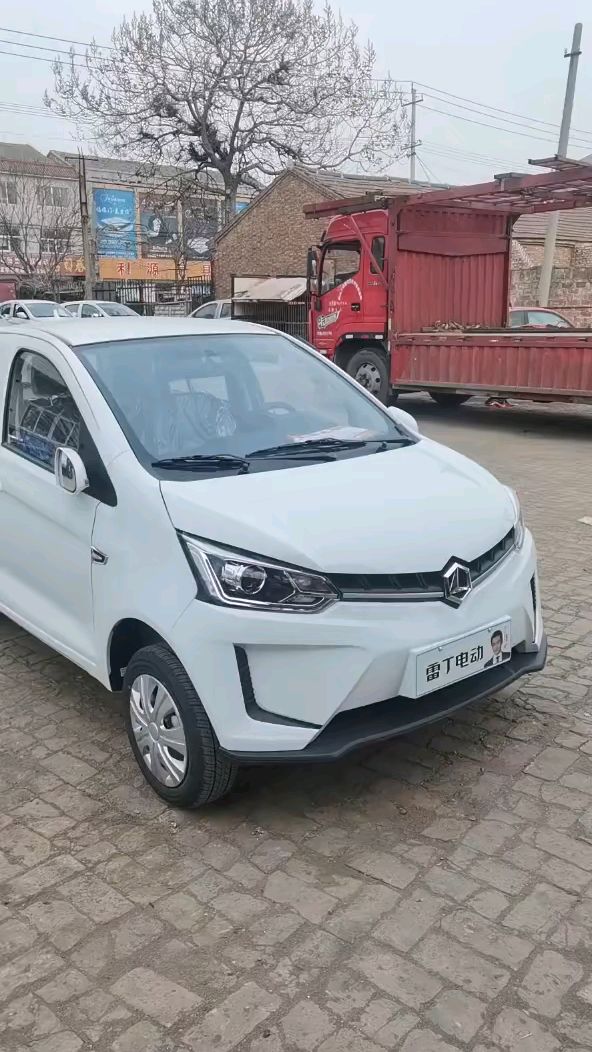 新能源雷丁d80a9电动汽车老年代步车-度小视