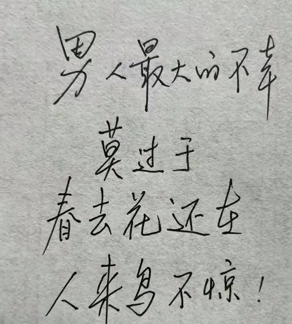 春去花还在 人来鸟不惊