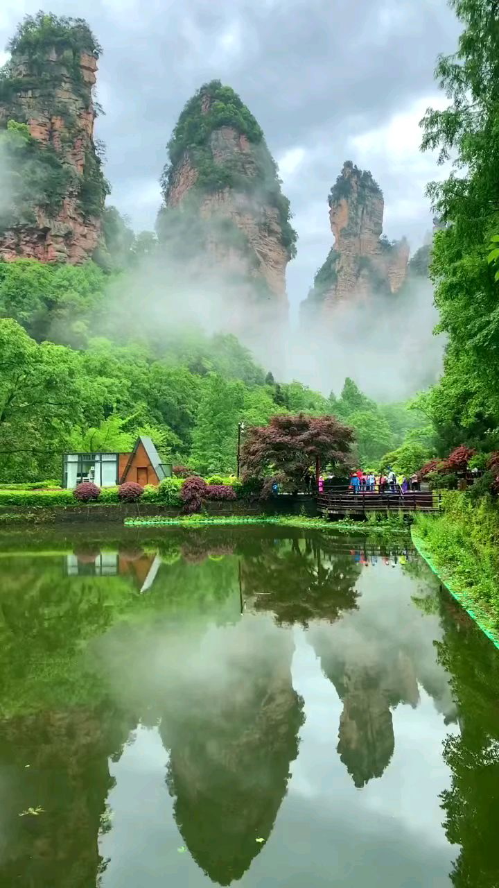 雨后的张家界,让人陶醉#张家界国家森林公园#十里画廊