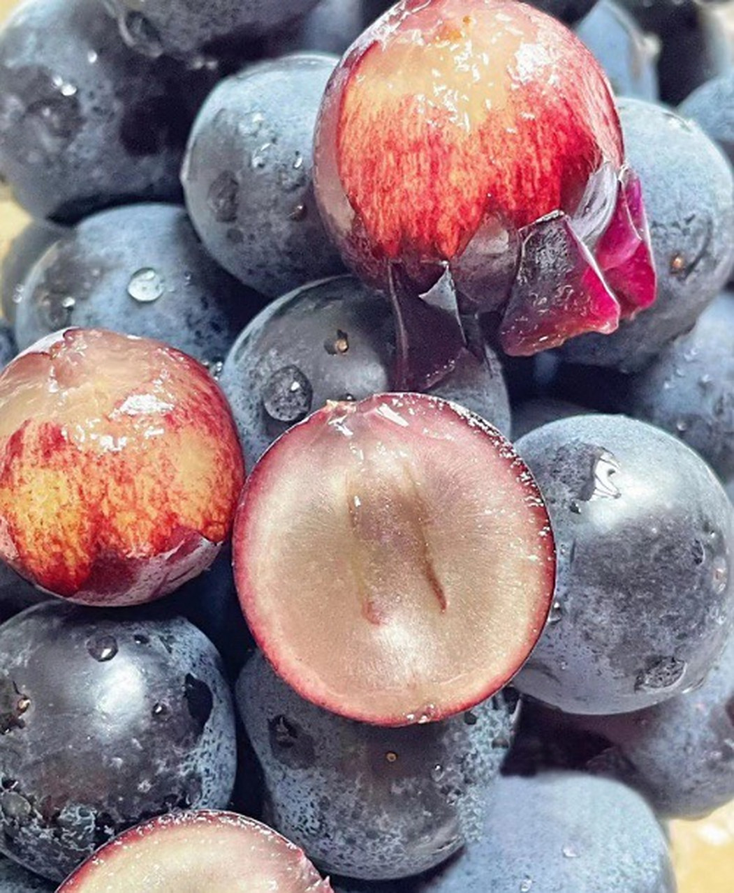 蓝莓葡萄,这种神奇的水果,被誉为"东方黑珍珠",是目前国内最受欢迎的