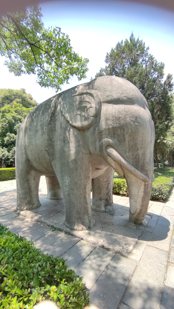 明孝陵的石像生既雄伟又壮观,但是我总觉得这些石像看起来缺点什么?