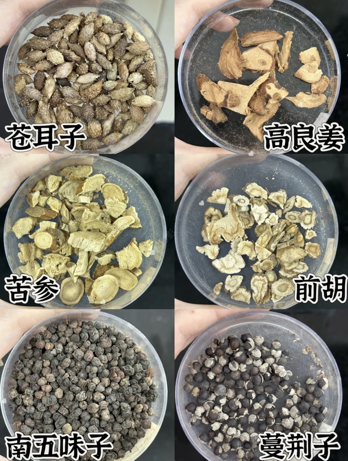 看图识中药,这42种中药你认识几个?
