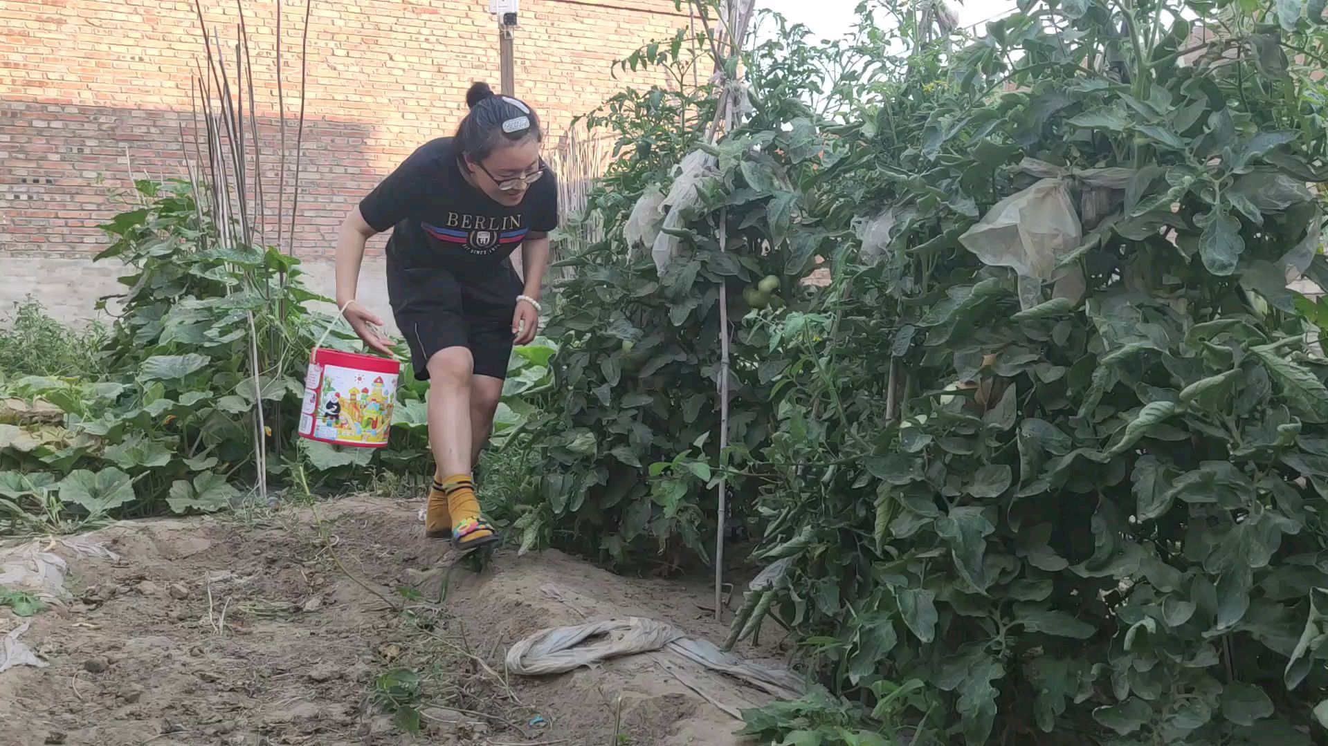 自扔自捡西红柿做酸汤肥牛,汤的味道超级好,全家吃了都夸