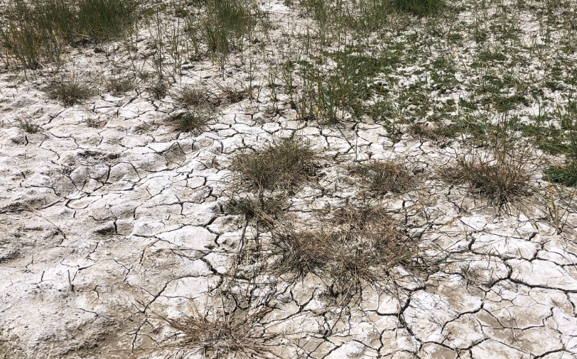 土地盐碱化的原因