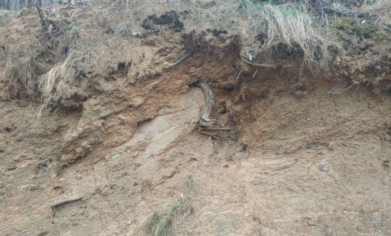 成土母质决定了土壤的什么呢?