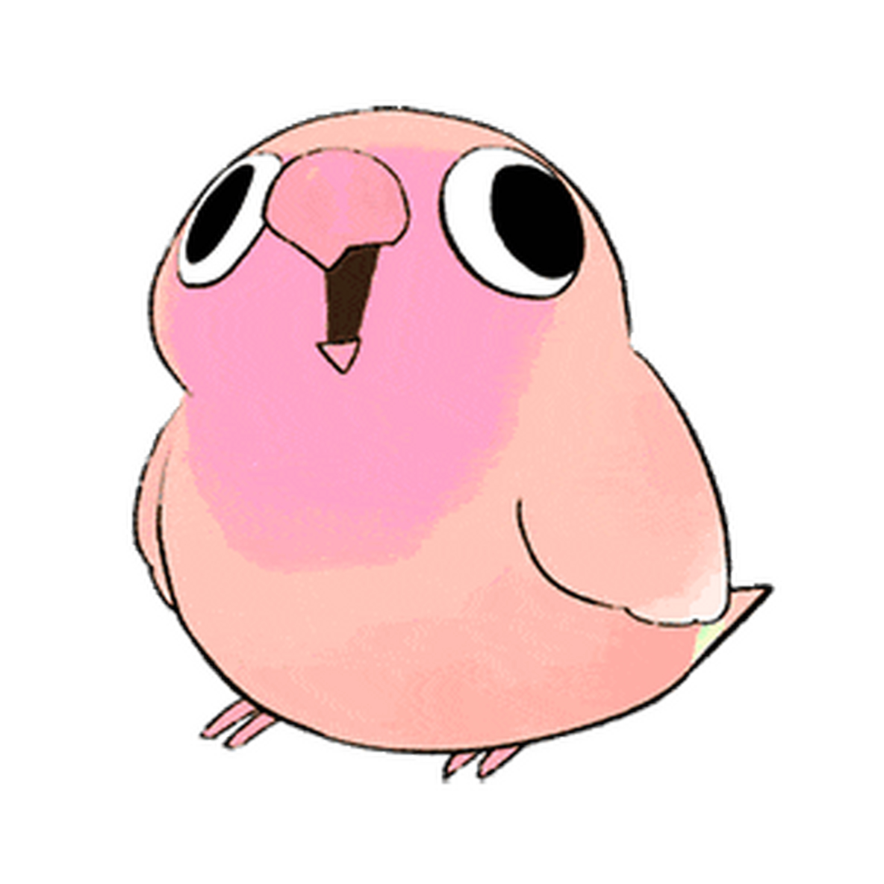 百度秋冬打卡挑战赛# 摇头晃脑的小鹦鹉表情包