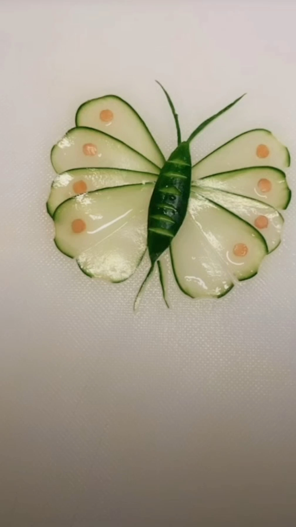 创意黄瓜蝴蝶