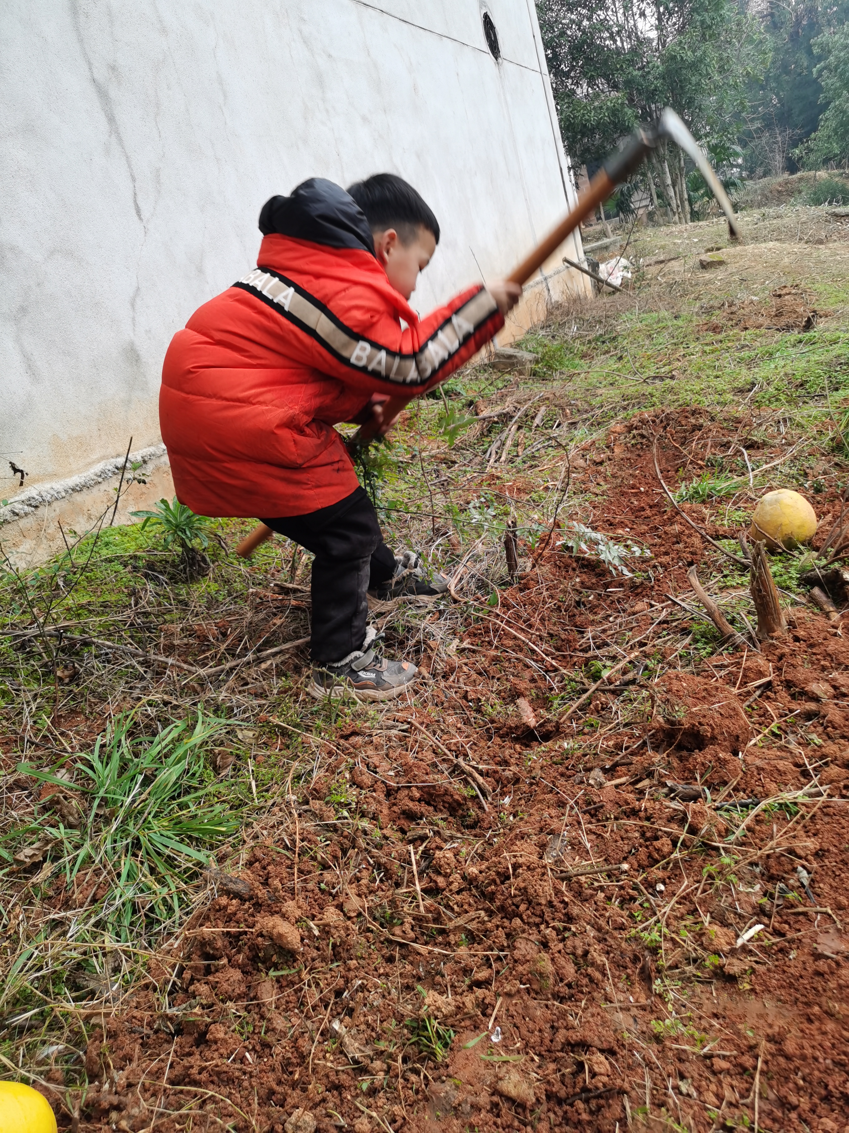 就如辛辛苦苦除草,挖坑,种菜. 以为长出来的是菜