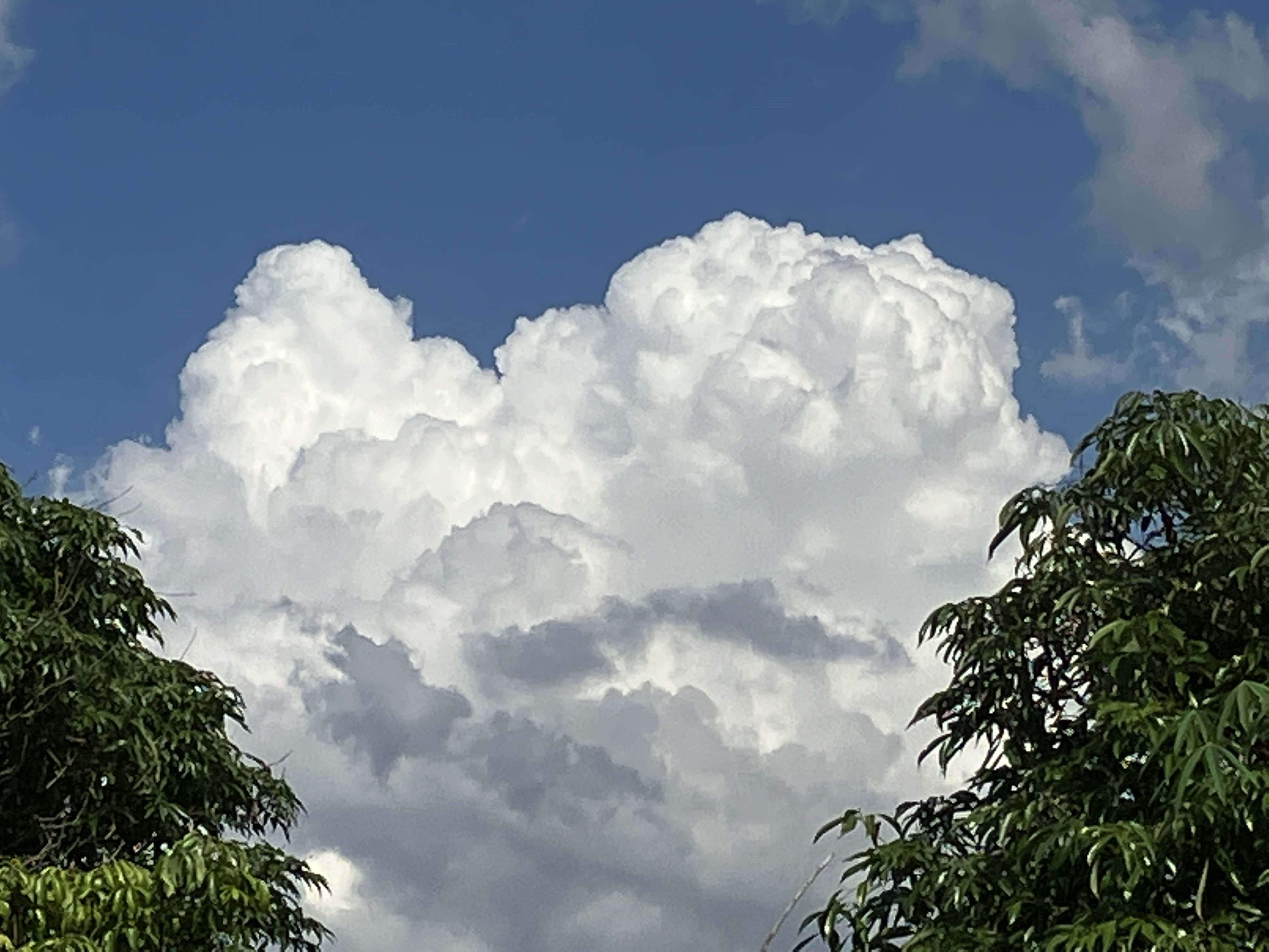夏日骄阳似火,归来仍是少年