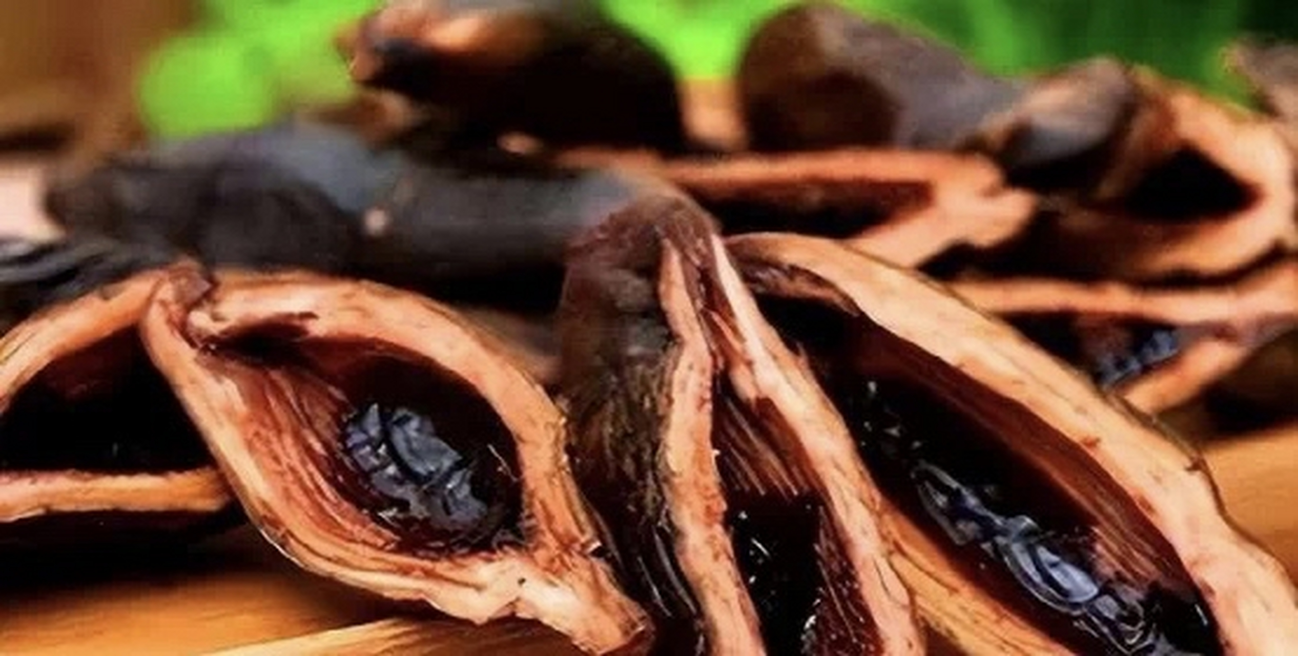 福鼎大白茶树品种大全及价格
