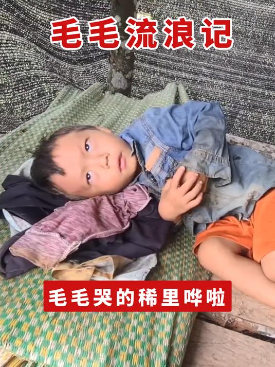 毛毛妈妈和美食都被王叔带走了,毛毛哭的稀里哗啦