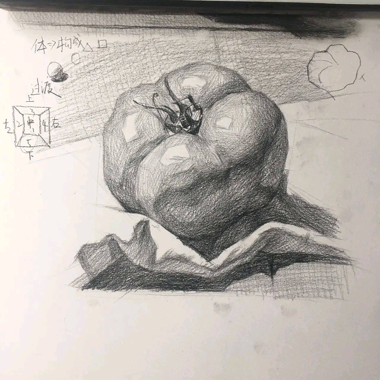 素描 | 西红柿