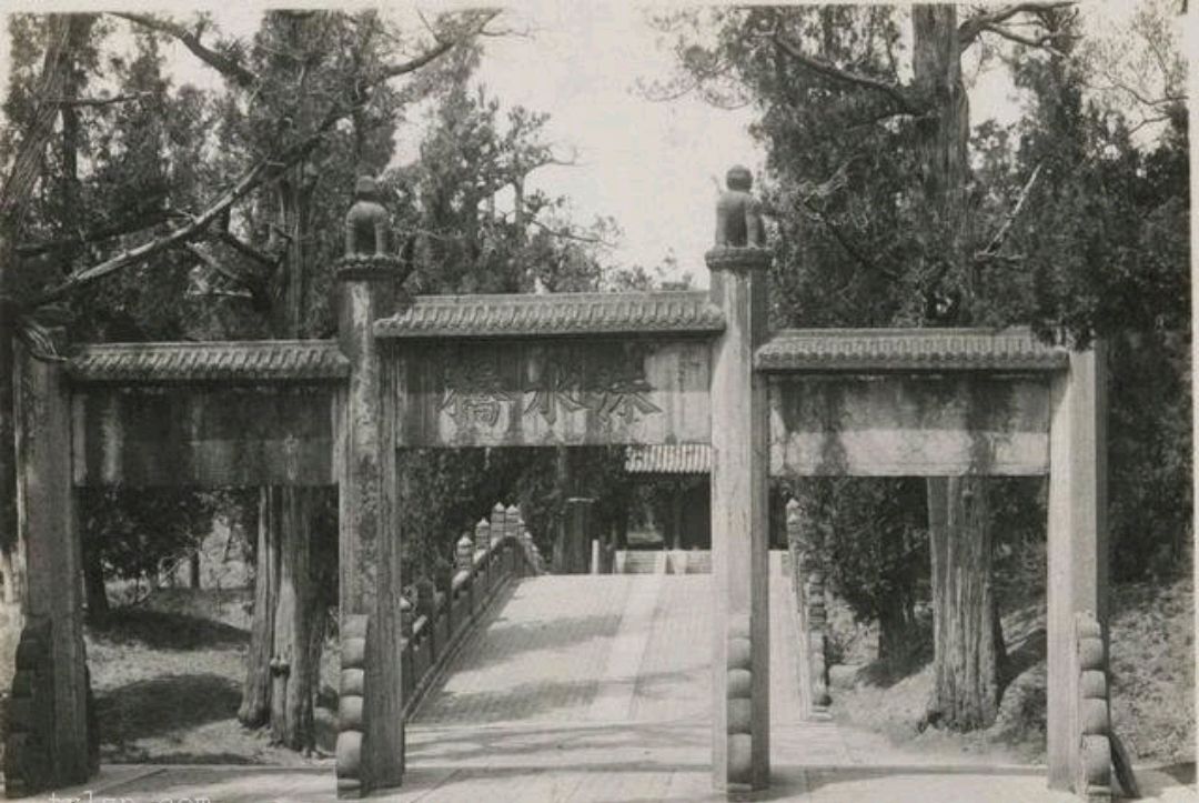 老照片:1925年的曲阜孔林景观