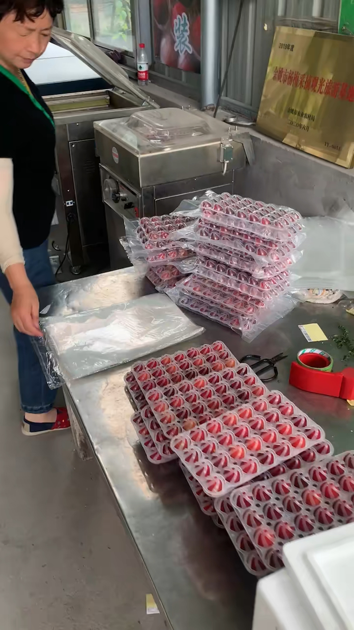 杨梅真空打包中