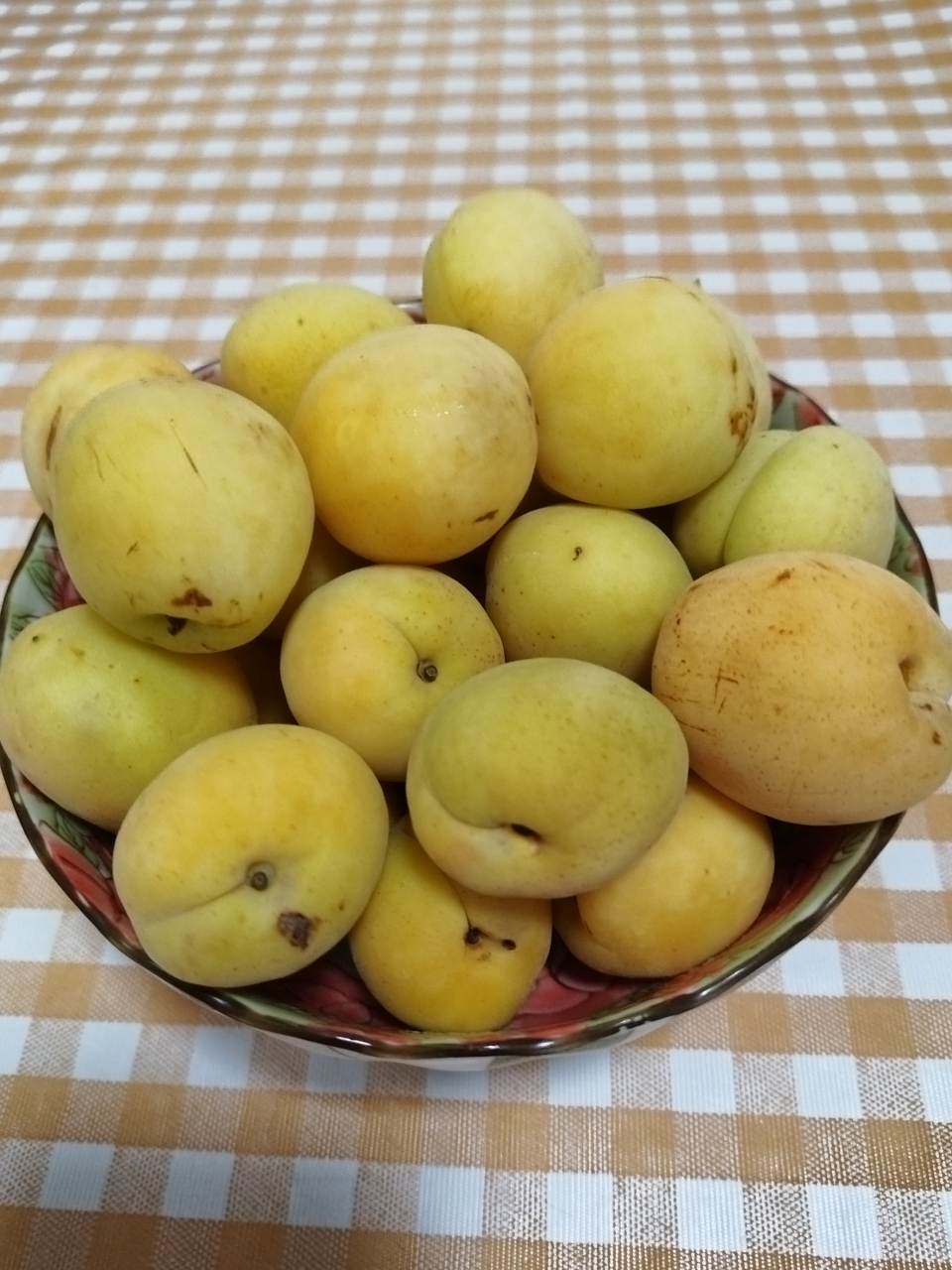 香白杏说是白杏,其实成熟后是淡黄色的,朝阳的一面还带点淡淡的红晕.