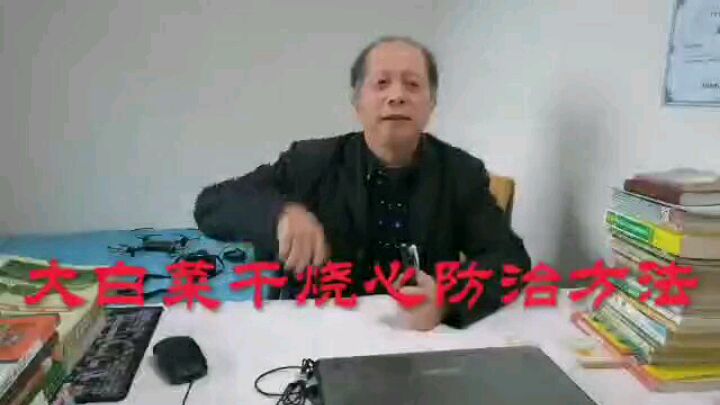 种植大白菜干烧心让人厌,老农防治有经验,大家都来听听