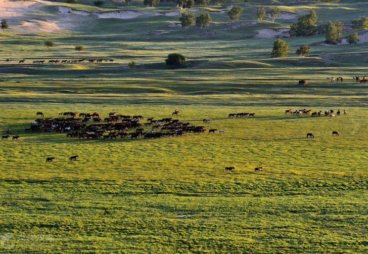 游坝上草原 阅乌兰布通古战场历史