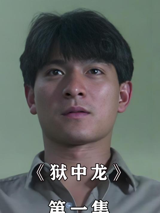 《狱中龙》第1集华仔经典电影推荐,狱中龙精彩回顾