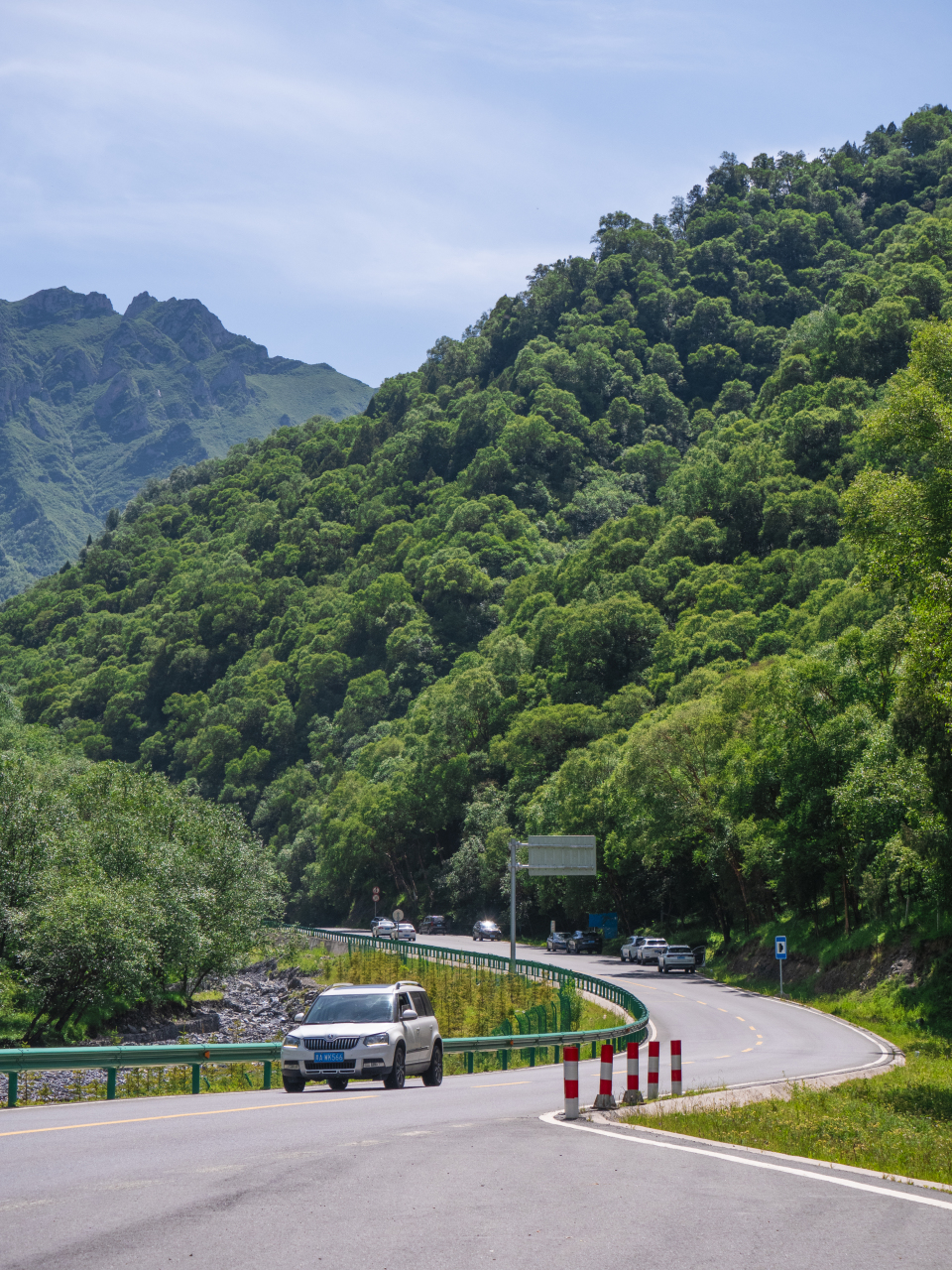 青海# 海东市乐都区仓家峡林场,夏季浪山的好去处,这里溪流潺潺,浅汉