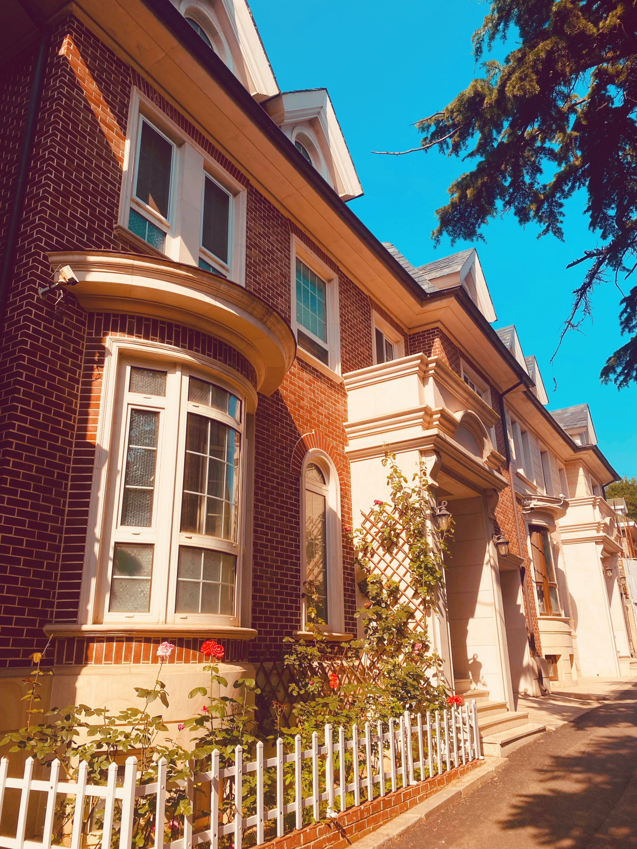 夏至的大连南山风情街