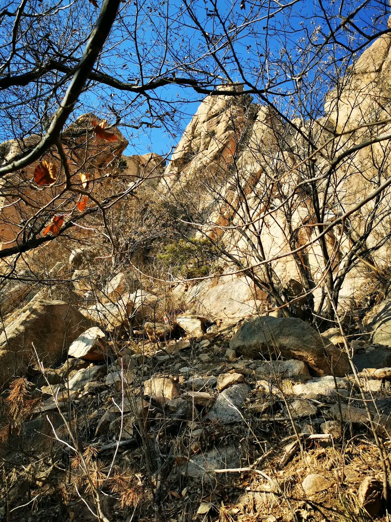 平度大泽山风景区图片图片