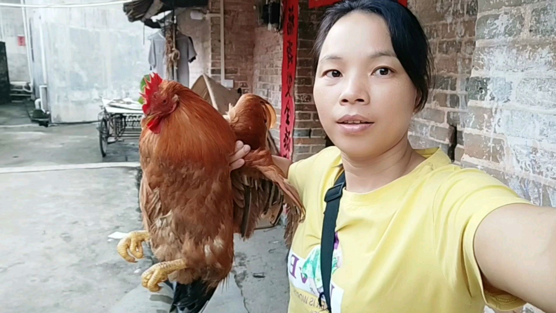 农村小伙每天工作很辛苦,媳妇杀大阉鸡给我补身子,太幸福了