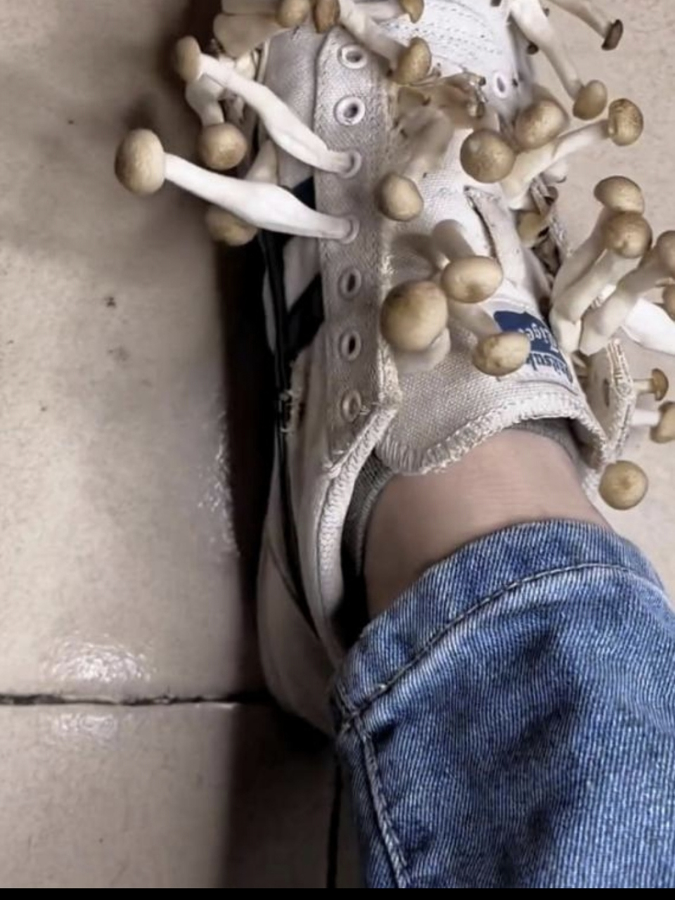 这鞋子已经发霉透了[捂脸]