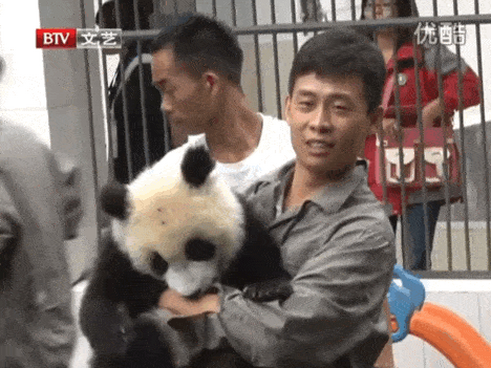 张译曾在参加慈善活动时,惨被熊猫"咬"了胸部一口.