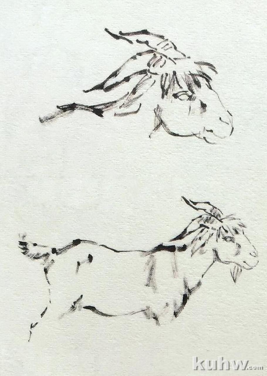 国画小写意羊的表现方法,赶紧拿去临摹练习[鲜花][鲜花][心][心][鲜花