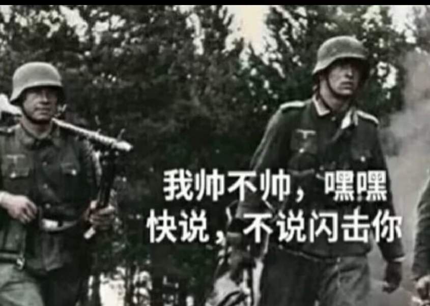 二战德国表情包分享