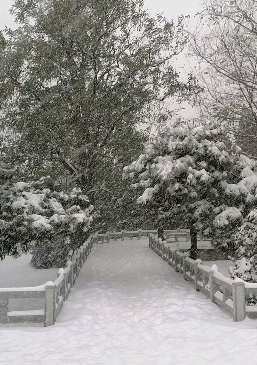 锦州雪景图片