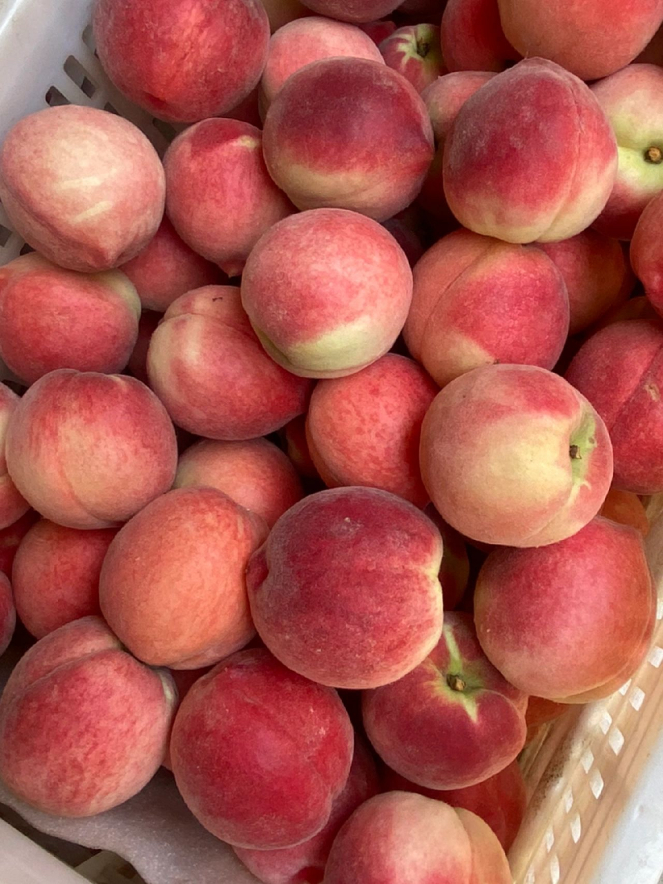 给爱吃桃子姐妹看6月贼好吃的水蜜桃||沂蒙山的水蜜桃 了 从六月份