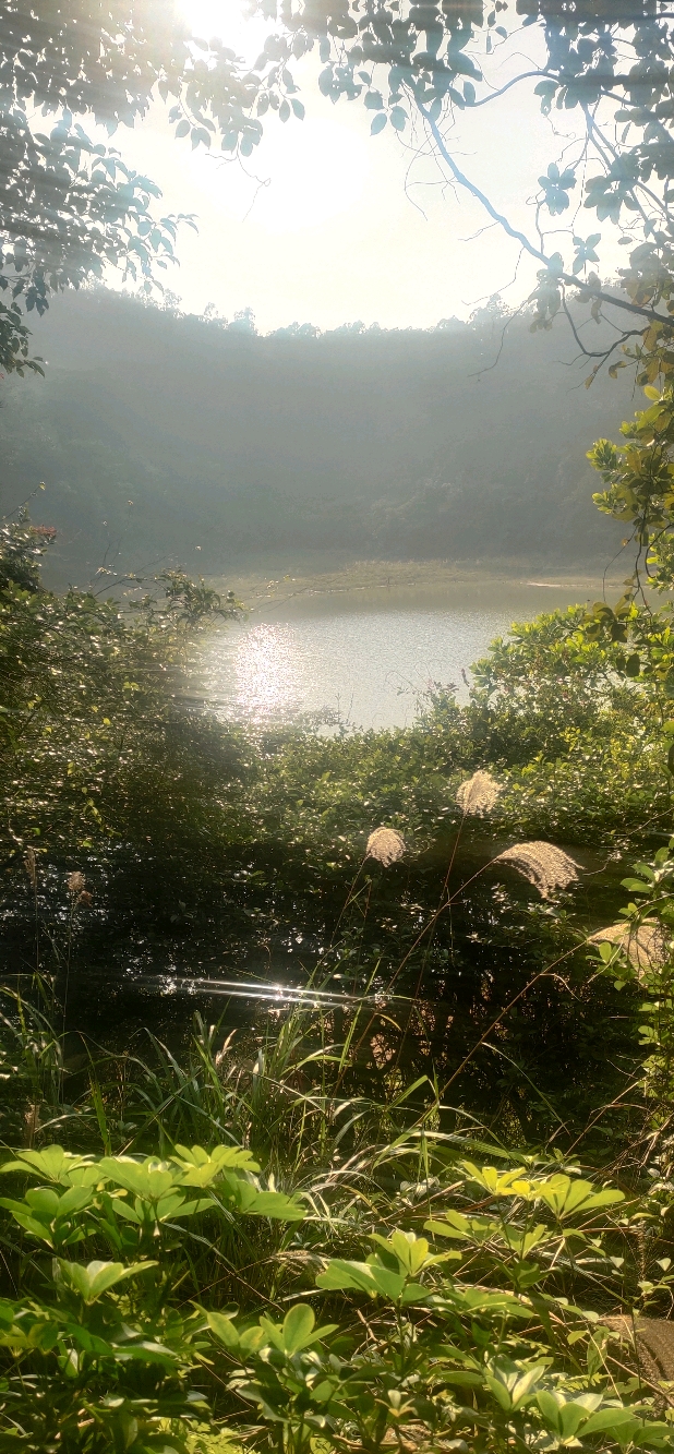 冬游秋林题大岭山怀德水库