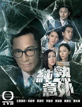 纯熟意外粤语版剧照