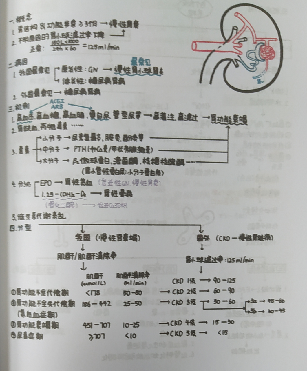 慢性肾衰竭病因图片