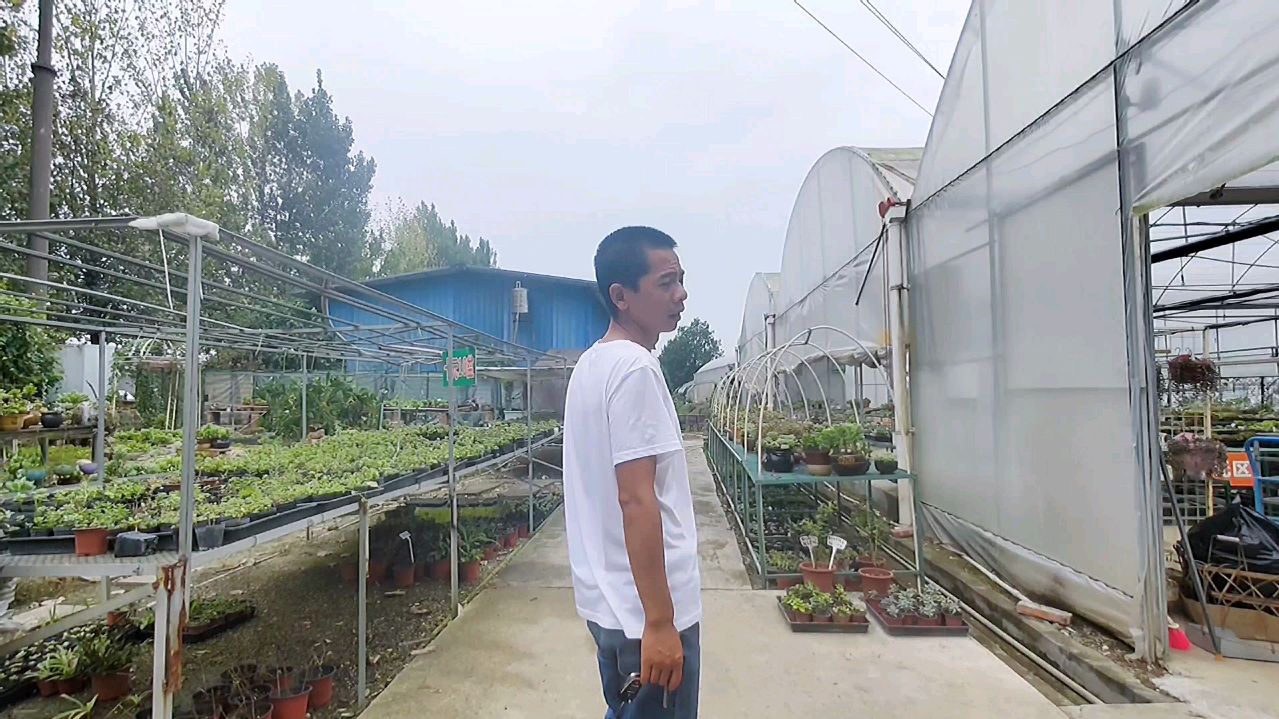 第二家多肉基地属于自产自销,面积不大,参观一下都有些什么品种