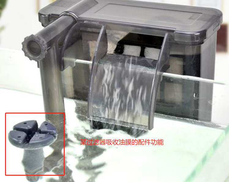 养鱼攻略:鱼缸油膜出现的原因及解决办法