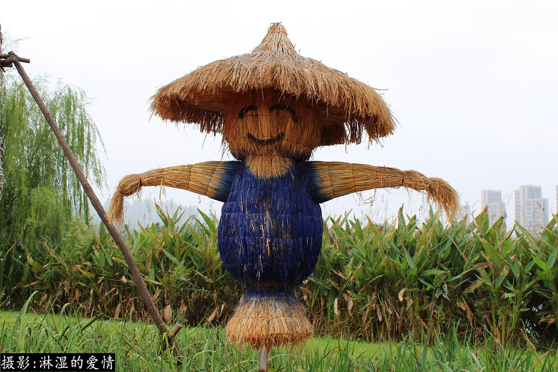 小时候还真被这种稻草人吓到过,虽然很阴间,但驱鸟效果真的不错 #稻草