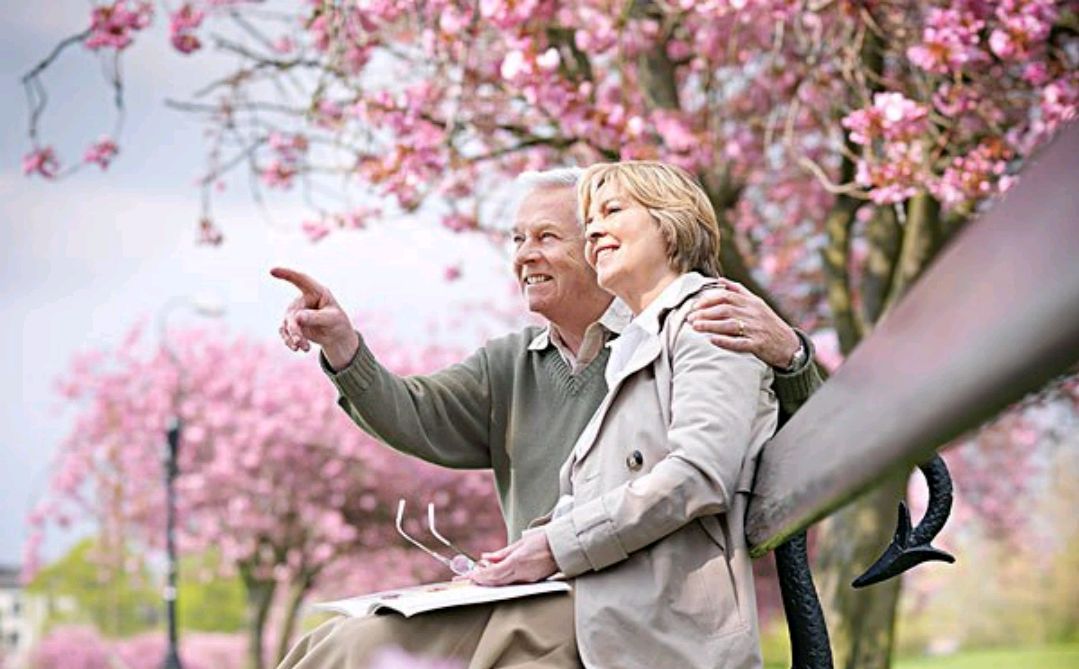 婚姻不是战场,也不是爱情的坟墓,难得糊涂,重在宽容