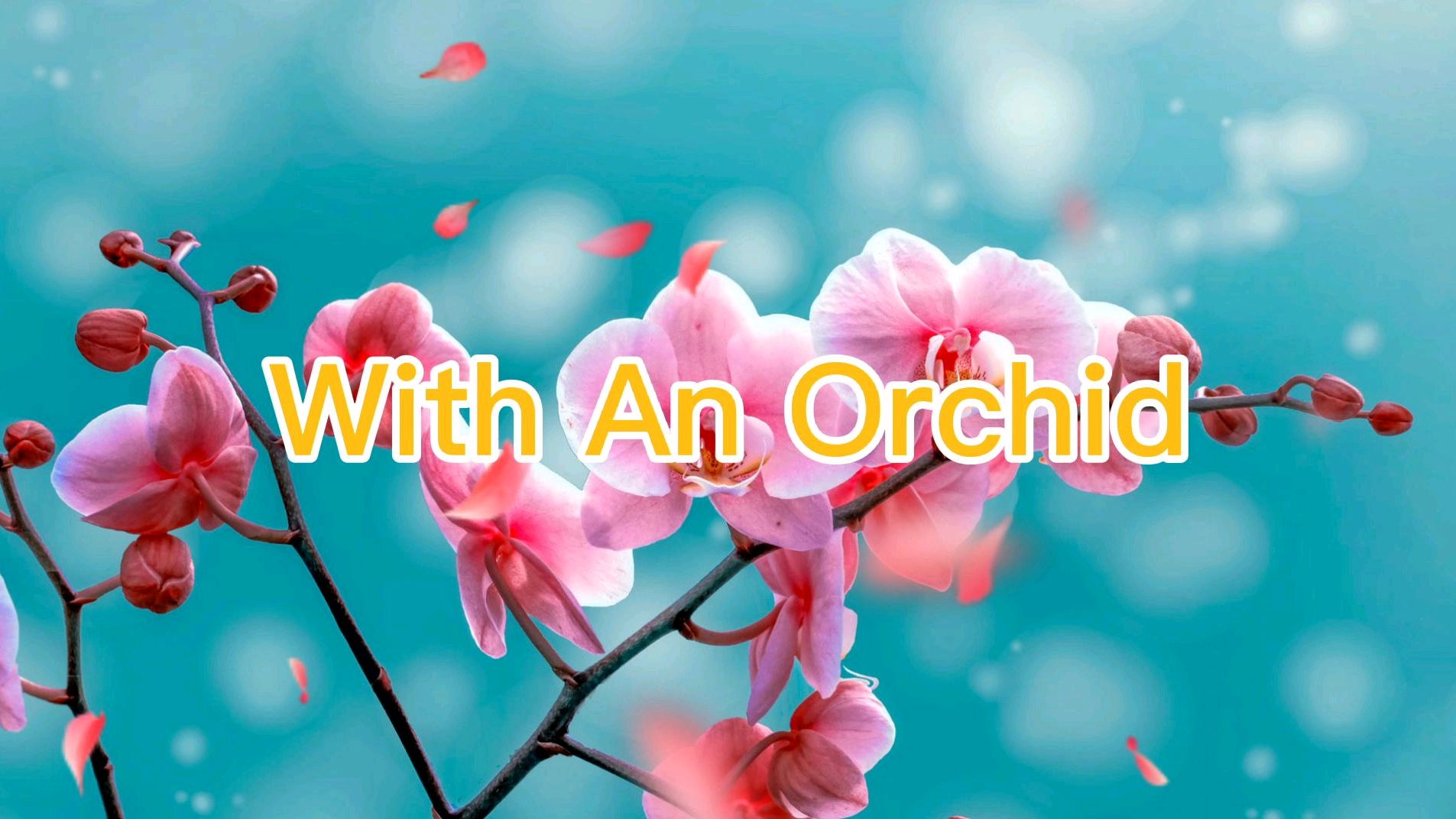 [图]Yanni《with an orchid》,给人一种轻松惬意的感受