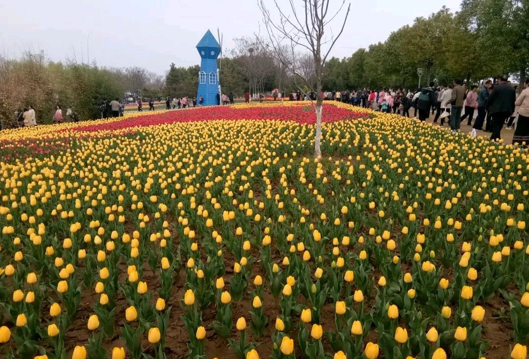 新野縣第六屆桃花節鬱金香節暨第三屆紡織服裝博覽會花情預告