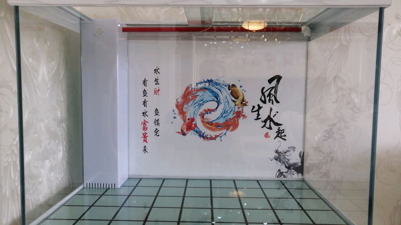马公介绍一种鱼缸常用拉筋方法,一起看看吧