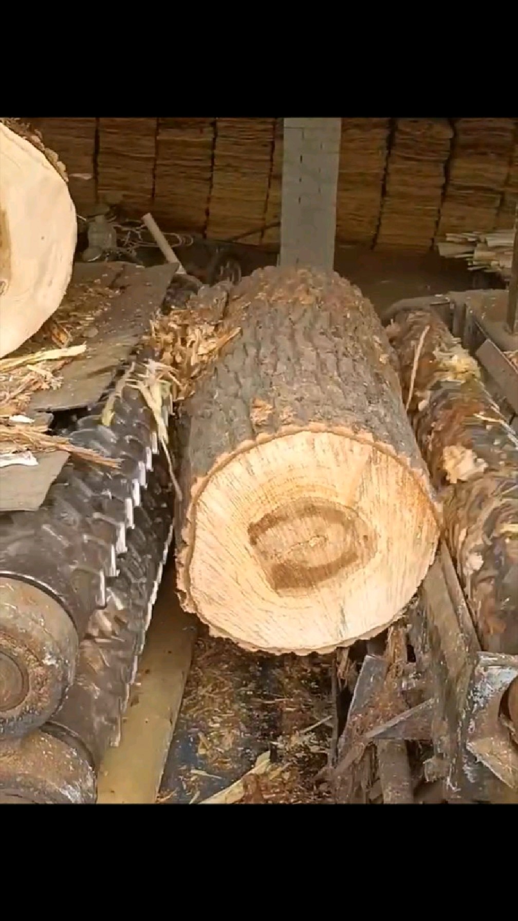 木头去皮全过程