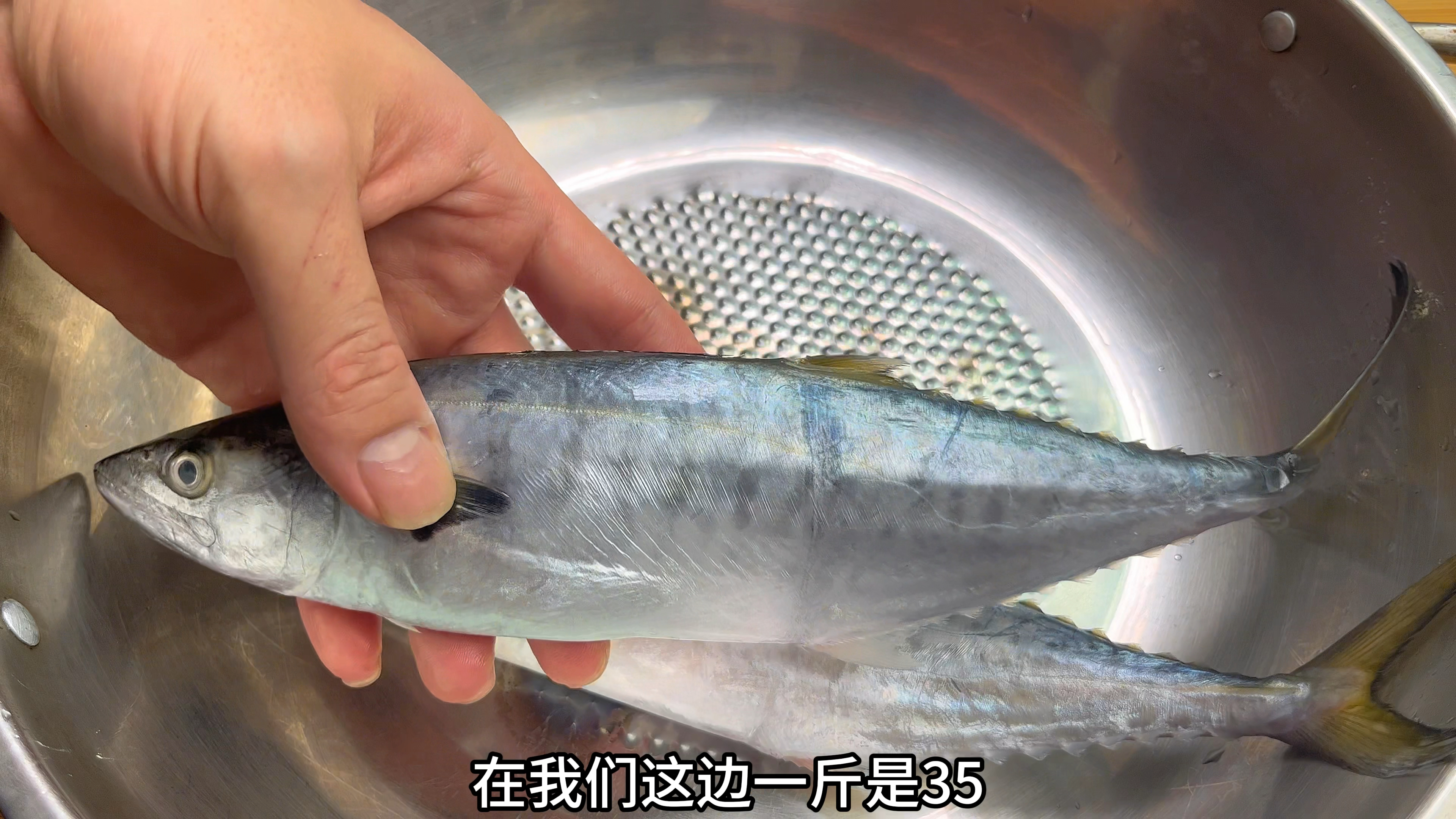 正所谓好鱼“马胶鲳”,买了2条马鲛鱼分享潮汕做法,鲜香入味