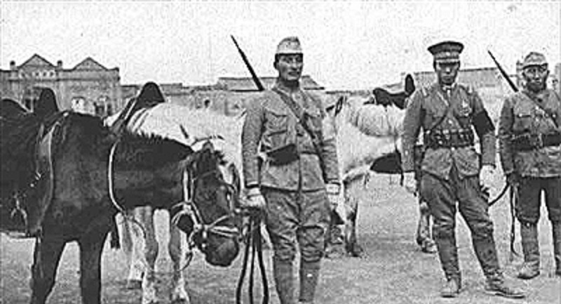 曾经,来自高密的两股土匪可把我爷爷那辈人祸害惨了