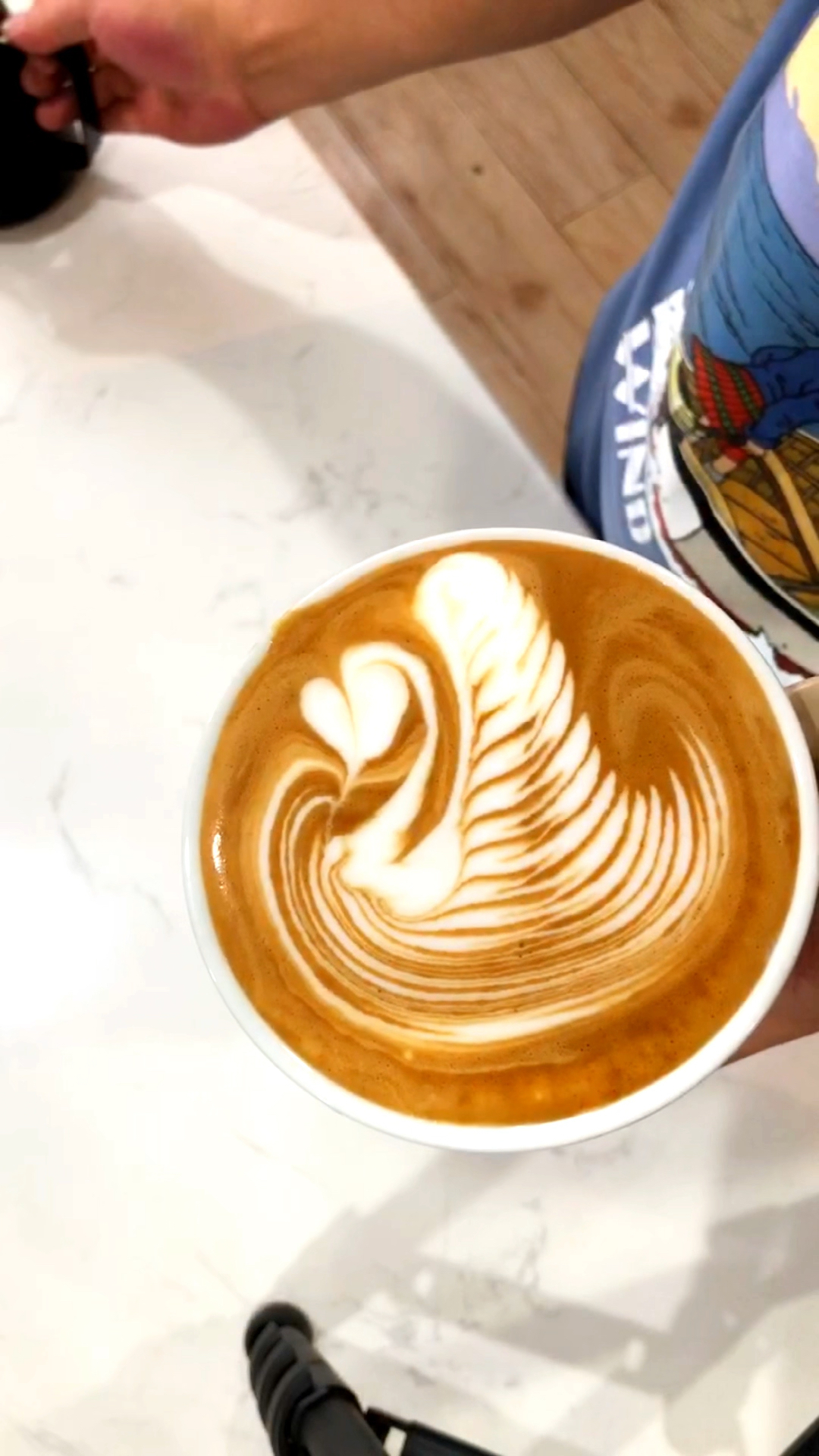 单翅天鹅咖啡拉花技巧