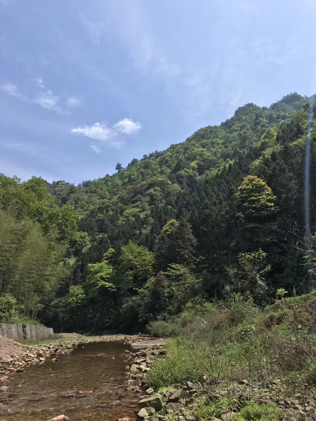 永顺杉木河图片