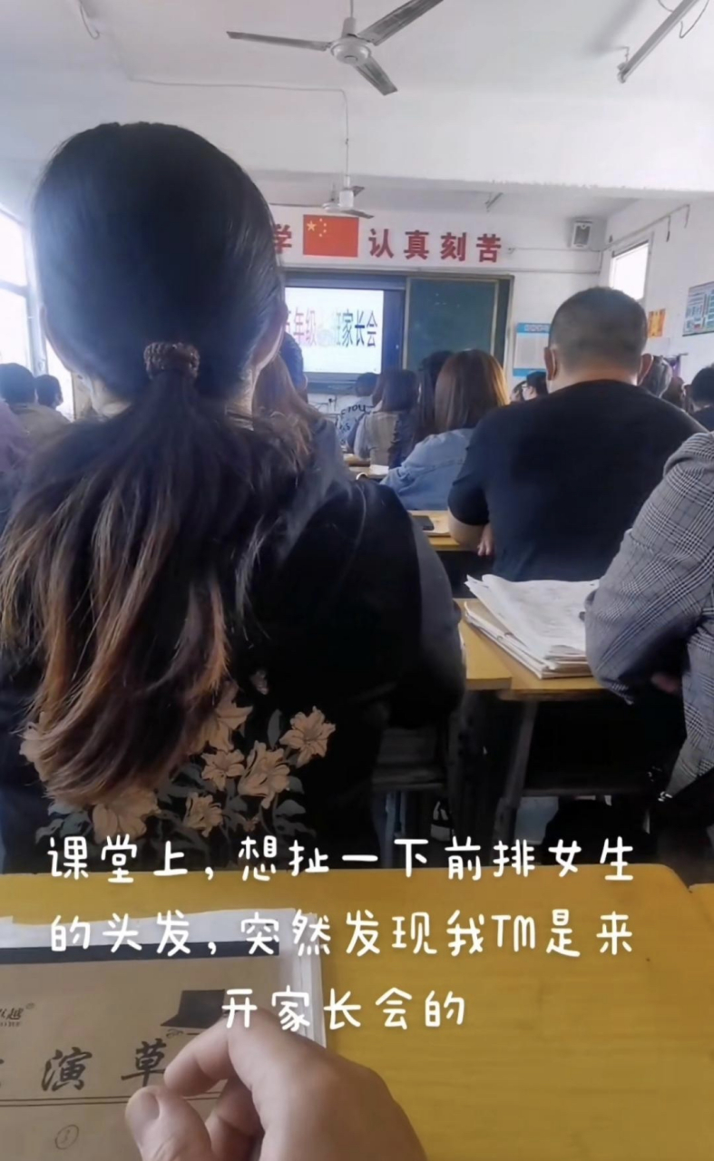 课堂上,突然想扯一下前排女生的头发,愣了几秒后才想起自己是来开家长