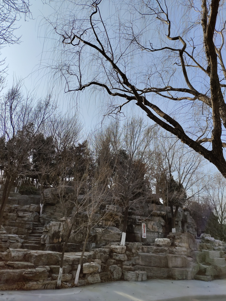 我今年54岁,是69年出生的鸡,在天津学校工作已34年了,我们几个同龄的