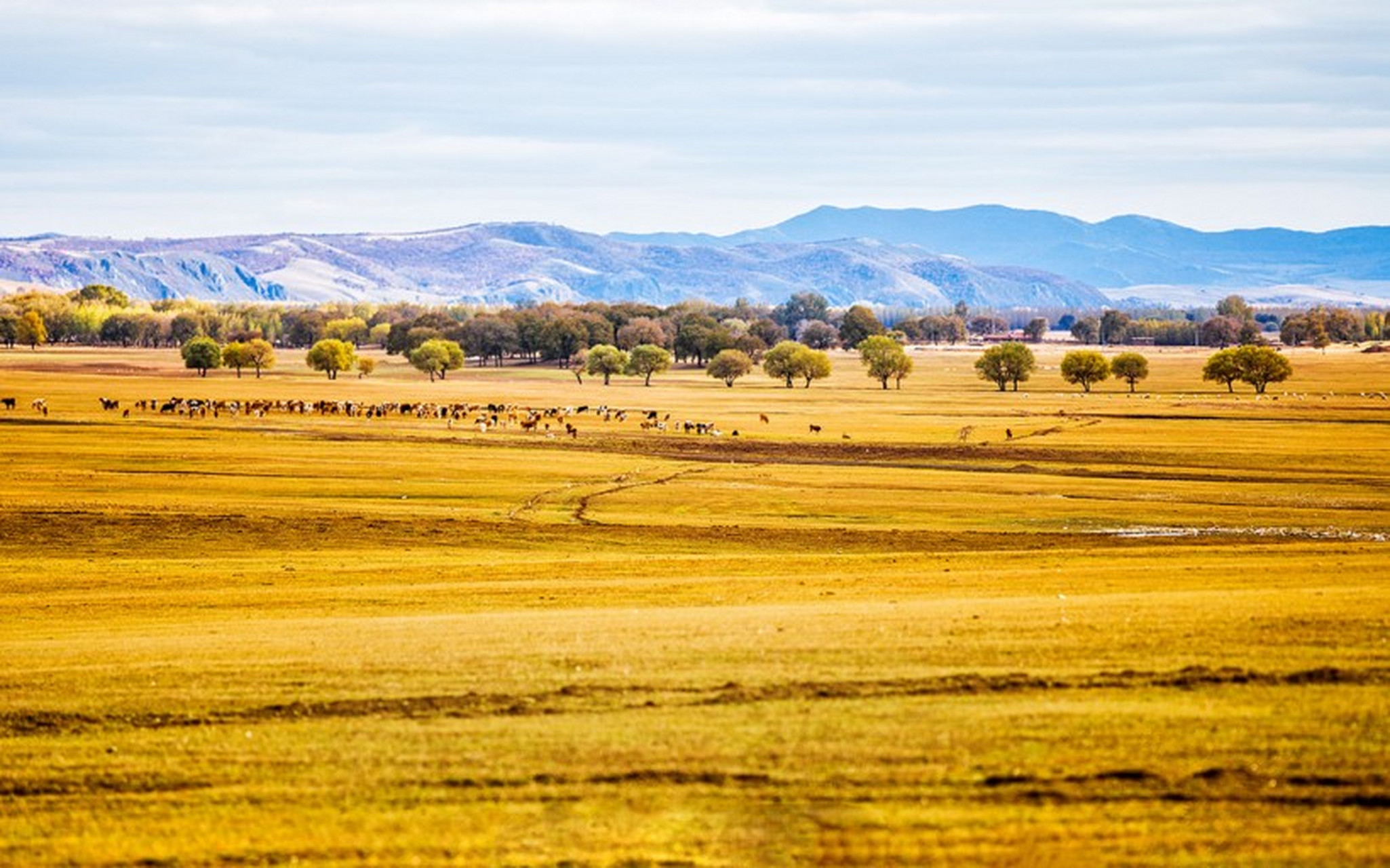 秋日的草原美景,  是一幅壮丽辽阔的画卷.